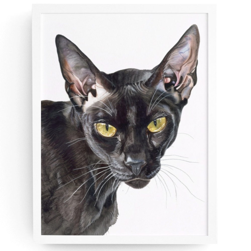 Watercolor Oriental Black Cat Portrait Wall Art Illustration Print Unframed